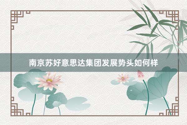 南京苏好意思达集团发展势头如何样
